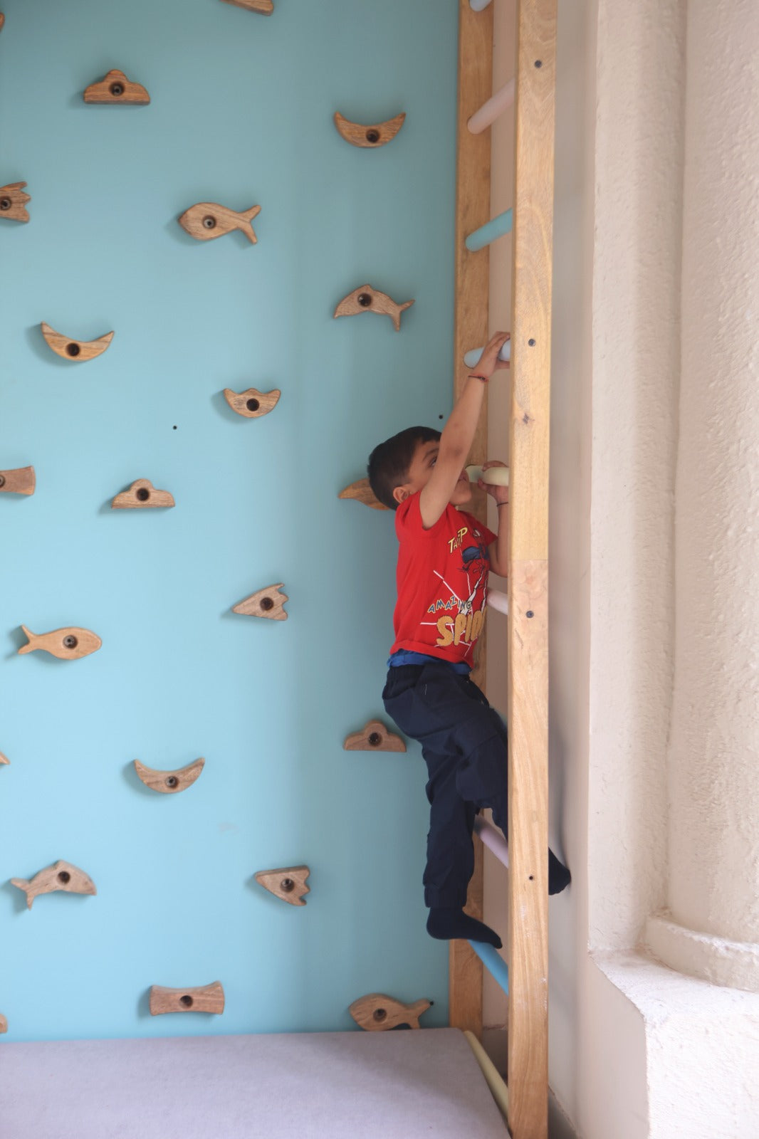 Indoor Play Jungle Gym