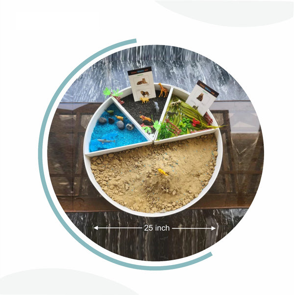 Sensory Play Tray